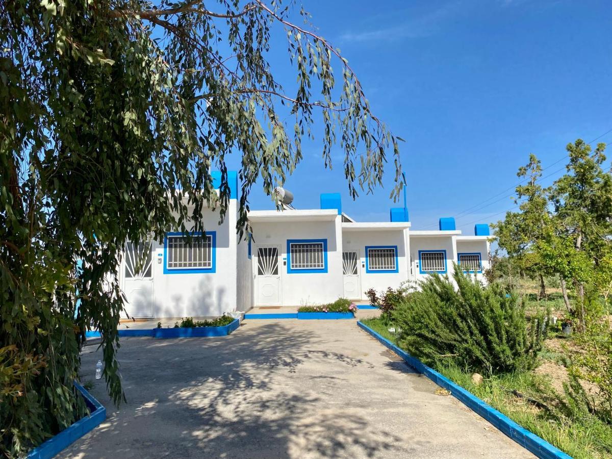 Elgreco Apartment, At Tigaki, Near The Sea "3" المظهر الخارجي الصورة